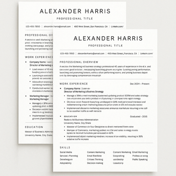 Modern Professional Resume Template